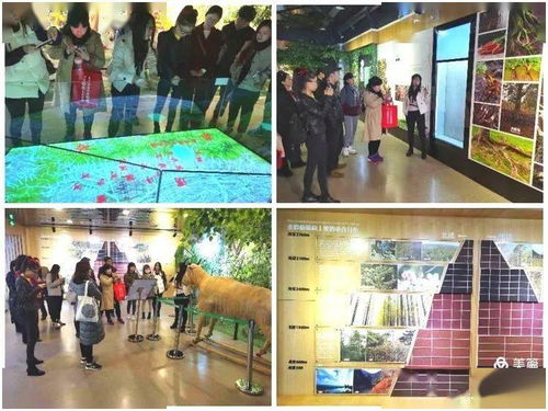灞桥区青少年科技辅导员科技实践活动顺利开展