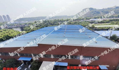 长安汽车旁,重庆市一个大型工厂拍卖,被国企底价9245万竞得